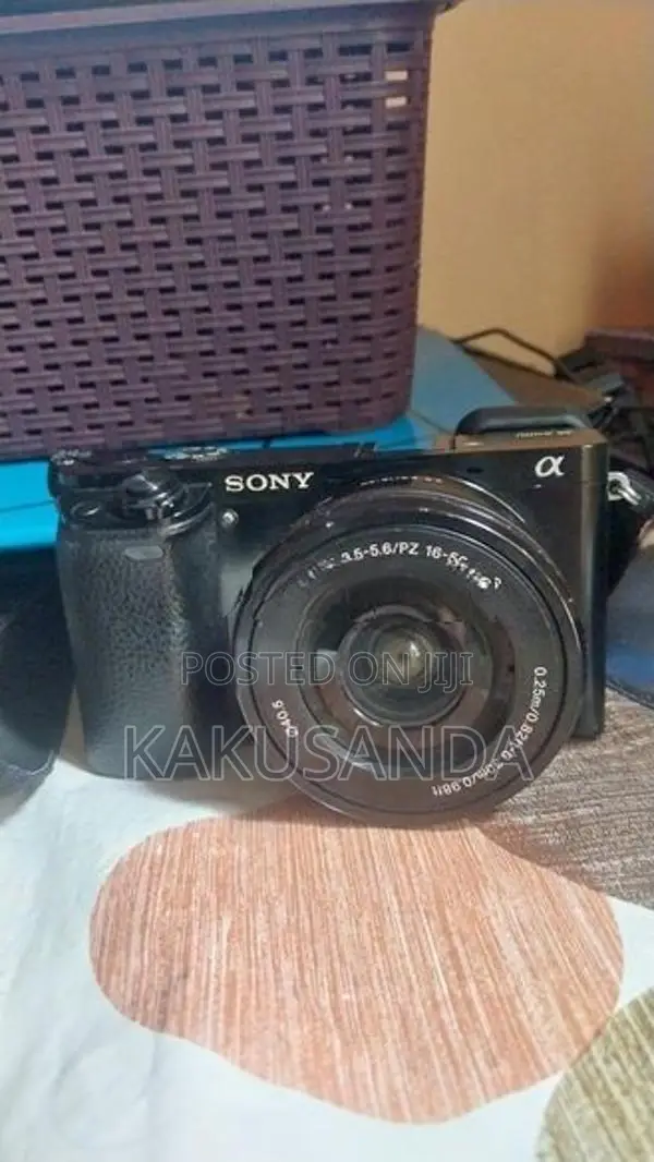 Sony A6000 with Kit Lens