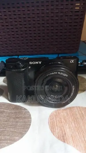 Sony A6000 with Kit Lens