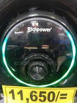 Richpower 2 in 1 Subwoofer