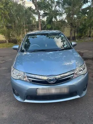 Toyota Axio G Grade 2013