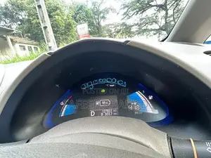 Nissan Leaf 2013