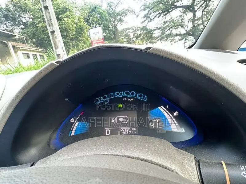 Nissan Leaf 2013