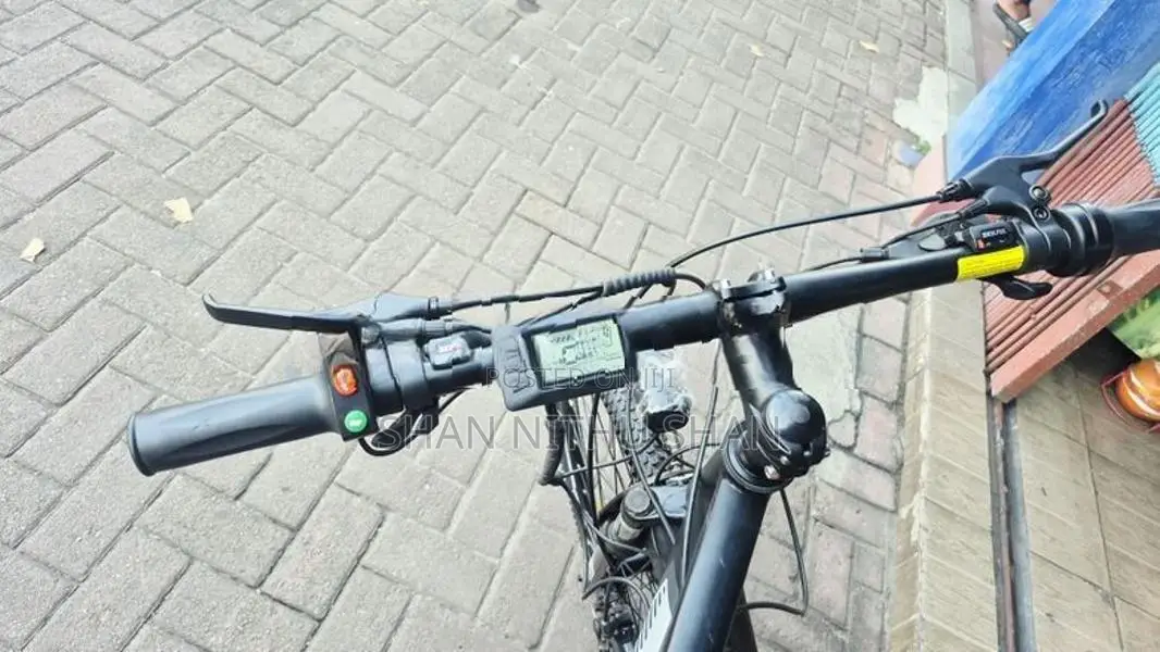 Men Electic Bicycle