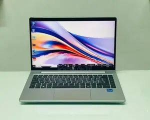 Core i5 11th Gen ProBook 440 G8 16GB