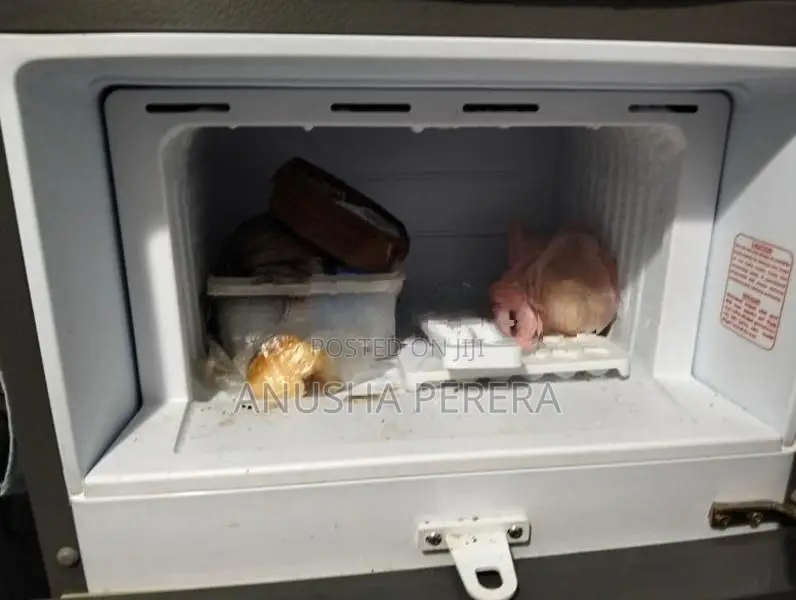 Singer Refrigerator