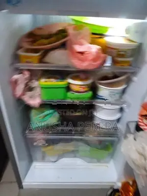 Singer Refrigerator
