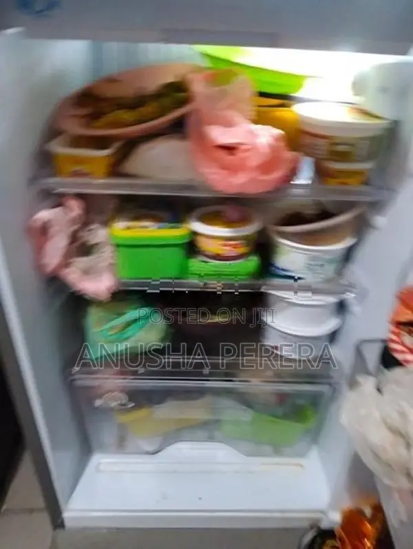 Singer Refrigerator