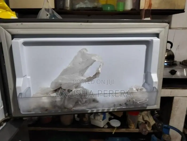 Singer Refrigerator