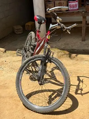 Dsi Bicycle