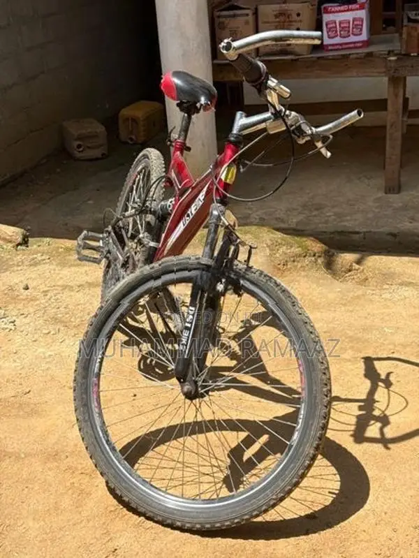 Dsi Bicycle