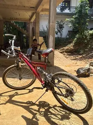 Dsi Bicycle