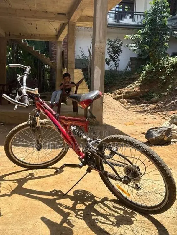 Dsi Bicycle