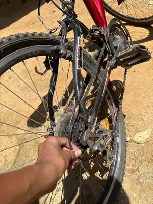 Dsi Bicycle