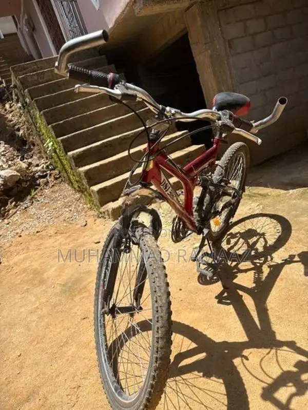 Dsi Bicycle