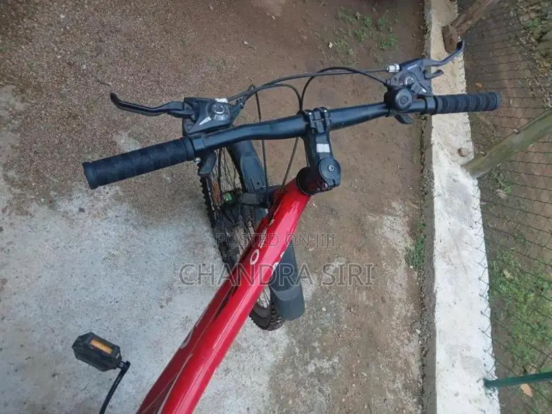 Amfo Indian Bicycle