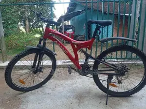 Amfo Indian Bicycle
