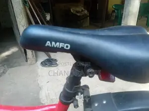Amfo Indian Bicycle