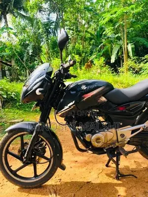 Bajaj Pulsar 150 palsar 2015
