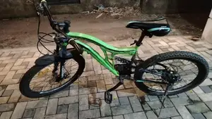 Lumstar Mountain Bicycle