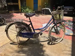 Ladies Bicycle