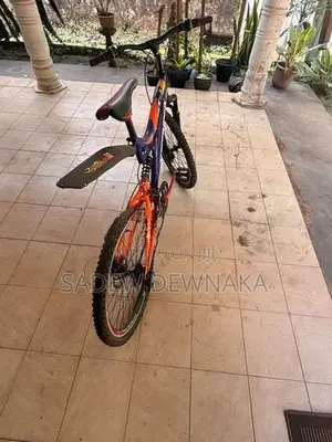 හොද තත්වයේ ඇත.