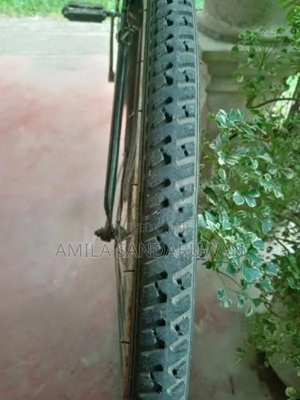 Lumala Japan Bicycle