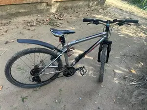 GT PALOMAR