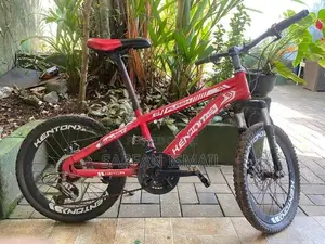 Kenton Flash 20” MTB