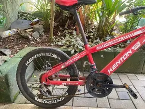 Kenton Flash 20” MTB