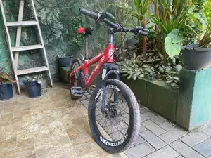 Kenton Flash 20” MTB