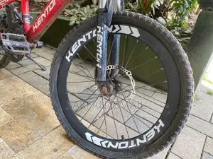 Kenton Flash 20” MTB