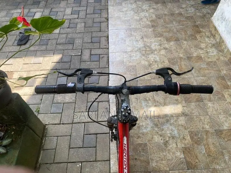 Kenton Flash 20” MTB