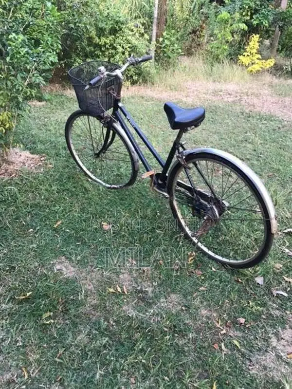 Bicycle