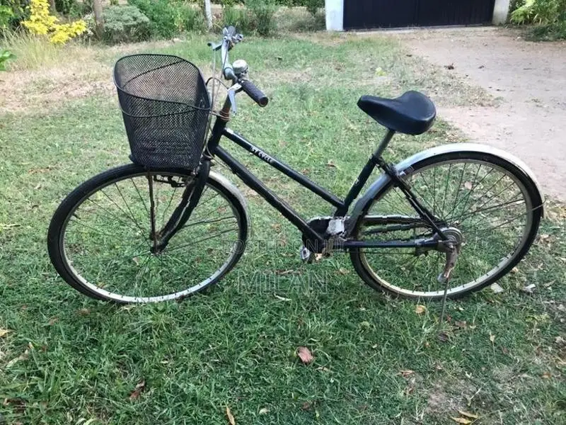 Bicycle