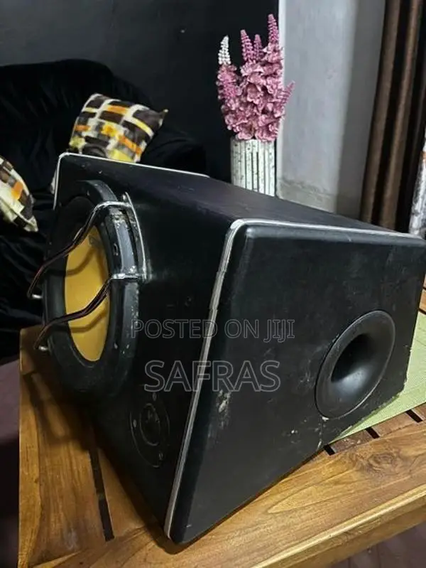 Gelong Subwoofer 10"