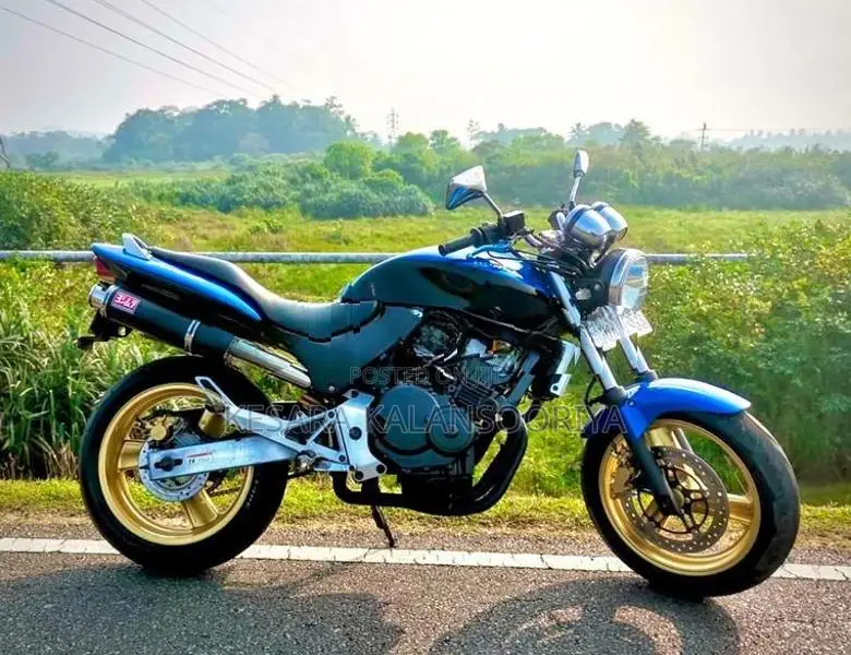 Honda Hornet 250 CH130 2009