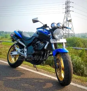 Honda Hornet 250 CH130 2009