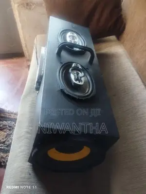 Car Speaker System