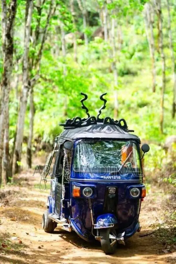 Bajaj RE 2014