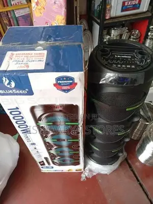 Party Speaker