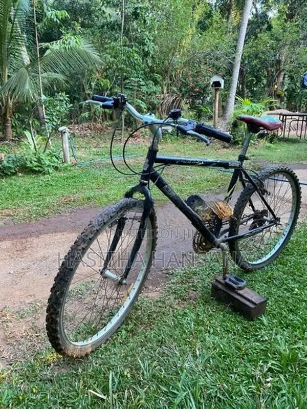 Lumala Bicycle