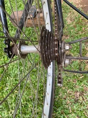 Lumala Bicycle