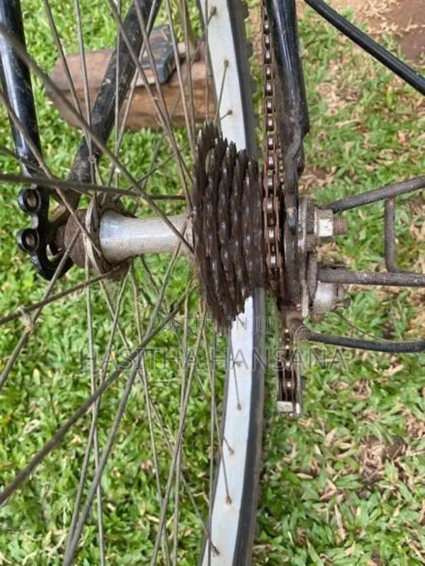 Lumala Bicycle