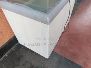 Display Freezer