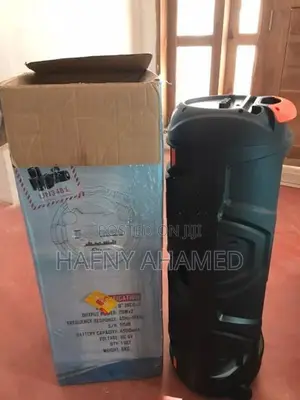 Sing E ZQS8221 party box