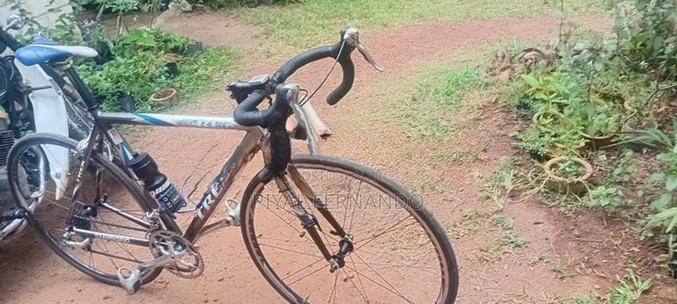 trek japan