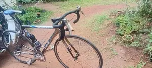 trek japan