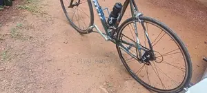 trek japan