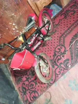Kenton Bicycle