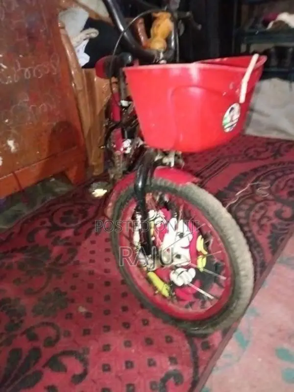 Kenton Bicycle